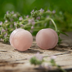 May include: Two pink, polished stone plugs, possibly for ear piercings, are displayed on a weathered wooden surface. The plugs have a smooth, rounded shape with a slight indentation. Soft green foliage and small purple flowers are in the background.