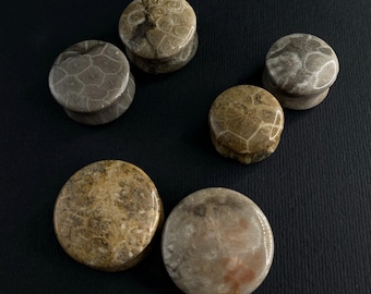 Fossilized Coral Stone Plugs 6mm - 25mm. Stone gauges