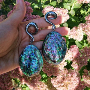 Pair of abalone ear weights. Brass ear weights for stretched ears. Gauge jewelry ear hangers