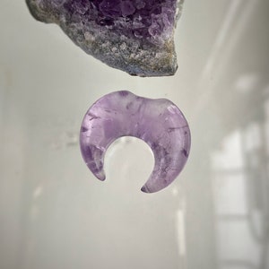 Amethyst septum pincher. Septum plug. Stretched septum. Tusk pincher. Horn ear plugs