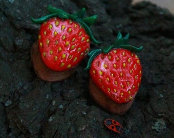 Strawberry plugs. Summer plugs. Fruit plugs. 8-50 mm plugs