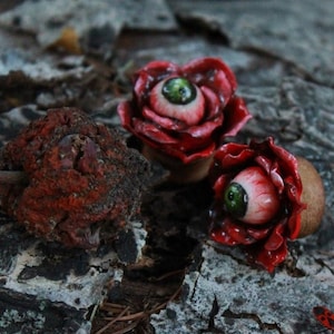 Satanic ear gauges online