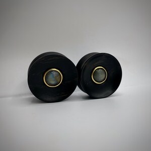 Photo shows an example of 1 Inch plugs