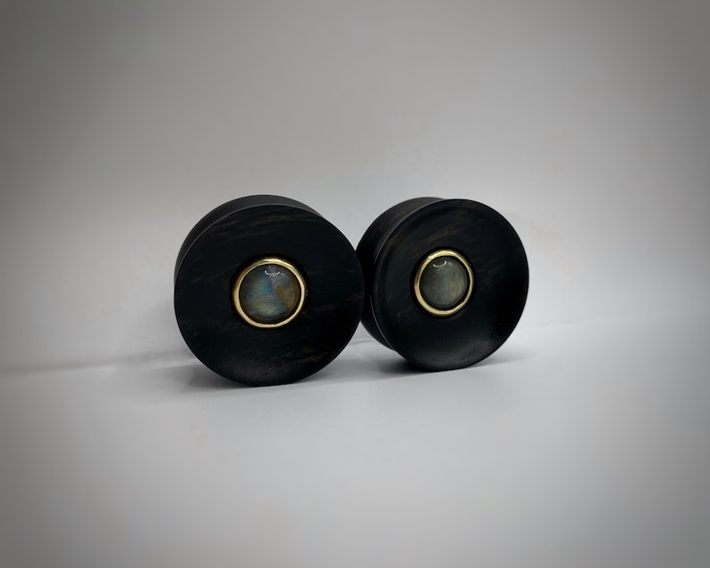 Photo shows an example of 1 Inch plugs