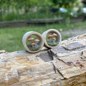 Mushroom gauges. Forest plugs. 1/2'', 9/16'', 5/8'', 3/4'', 1 1/4'', 1 1/2'', 2''