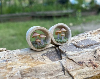 Mushroom gauges. Forest plugs. 1/2'', 9/16'', 5/8'', 3/4'', 1 1/4'', 1 1/2'', 2''