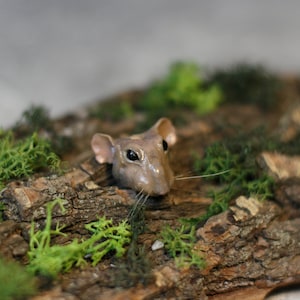 May include: A small, realistic-looking mouse figurine is nestled in a bed of green moss on a piece of bark. The mouse has a brown body and black eyes.