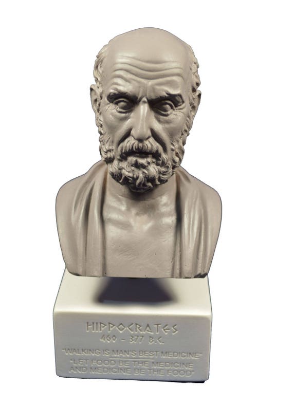 Hippocrates Sculpture Ancient Greek Father Of Modern Medicine Museum Reproduction Bust