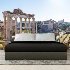 EXTRA LARGE WALLPAPER, Rome Peel And Stick Wall Mural, Roman Forum Wall Art, Italy Wall Décor, Italian Wall Covering,City View Wall Tapestry