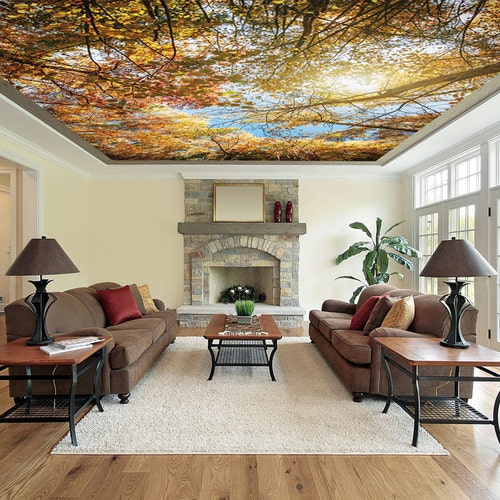 Sunny Peel & Stick Ceiling Mural Ceiling Decor Photo Etsy