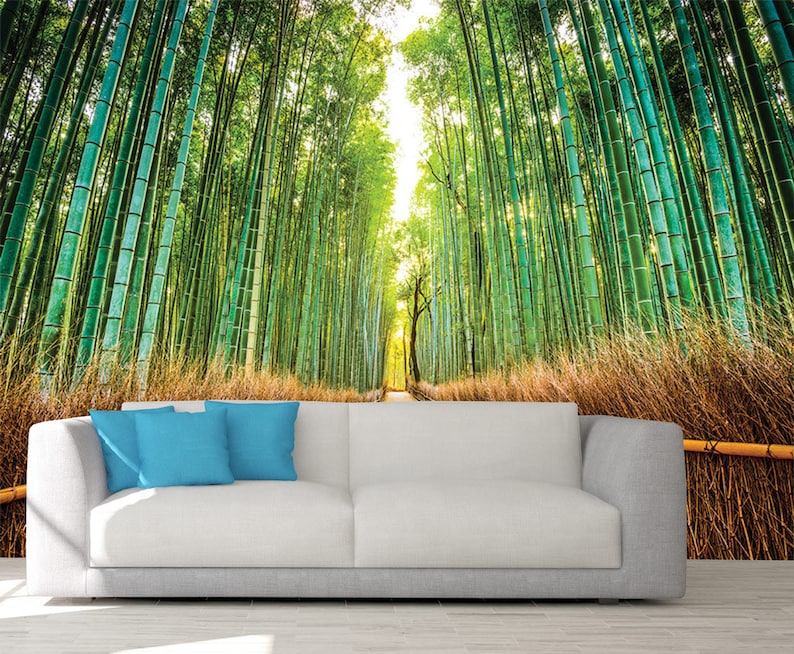 Trees Wall Art Bamboo Wall Mural Wallpaper Bamboo Nature Etsy