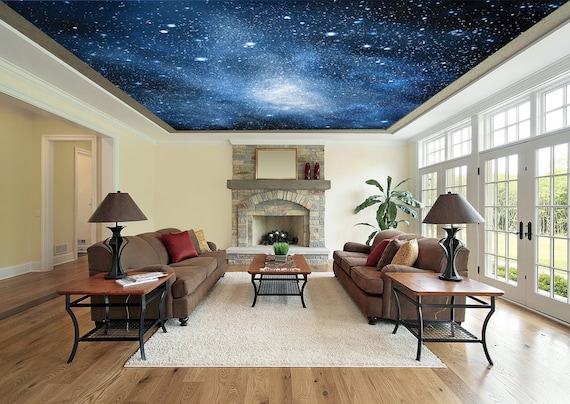 Night Sky Peel & Stick Ceiling Mural, Ceiling Decor, Photo