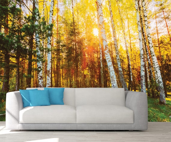 3D Forêt Arbres Soleil Nature papier peint Papier peint salon chambre à coucher 3D Forêt Arbres Soleil Nature papier peint Papier peint salon chambre à coucher