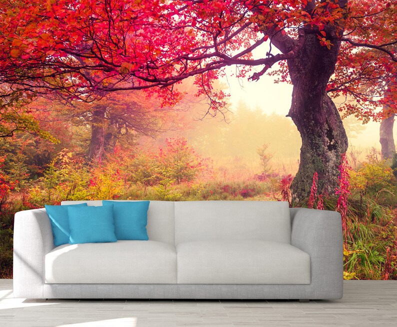 Tree Wall Mural Tree Wallpaper Nature Wall Mural Nature Etsy