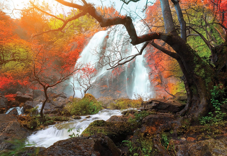 Autumn Wall Mural Removable Wall Mural Trees Wall Art Wallpaper Autumn Peel And Stick Waterfall Wall Decal Self Adhesive Vinyl