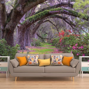 Tree Wallpaper, Forest Wallpaper, Tree Wall Mural, Nature Wall Mural, Nature Wallpaper, Forest Wall Covering, Forest Wall Mural,  Forest