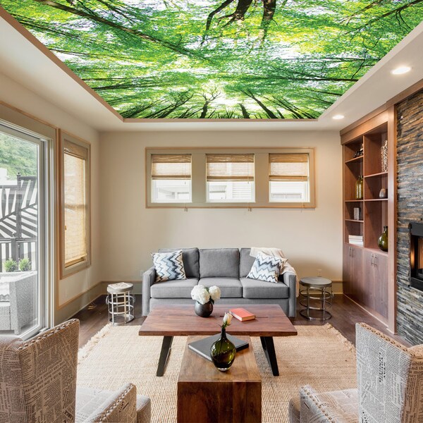 Ceiling Decor - Etsy