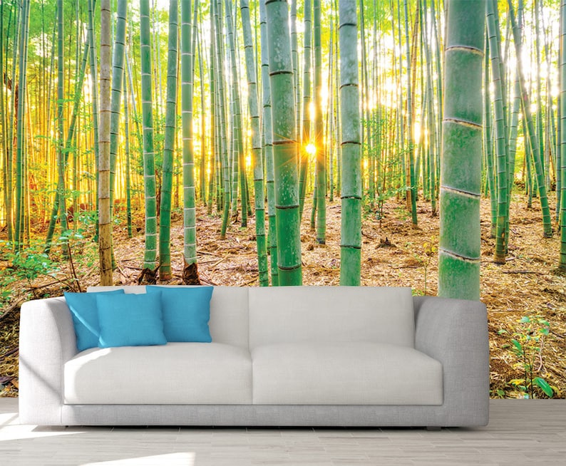 Bamboo Wall Art Forest Wall Mural Bamboo Wallpaper Wall - Etsy