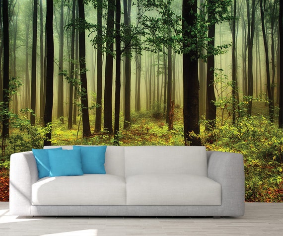 Bosque pared mural, bosque papel pintado, bosque, árbol pared mural, árbol papel  pintado, naturaleza pared mural, naturaleza papel pintado, cubierta de la  pared del bosque -  España