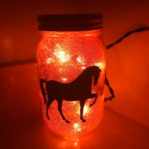 Horse Jar Nightlight, Horse Jar Light, Mason Jar Light, Mason Jar, Nightlight, Personalized Light, Walking Horse Light, Personalized Gift