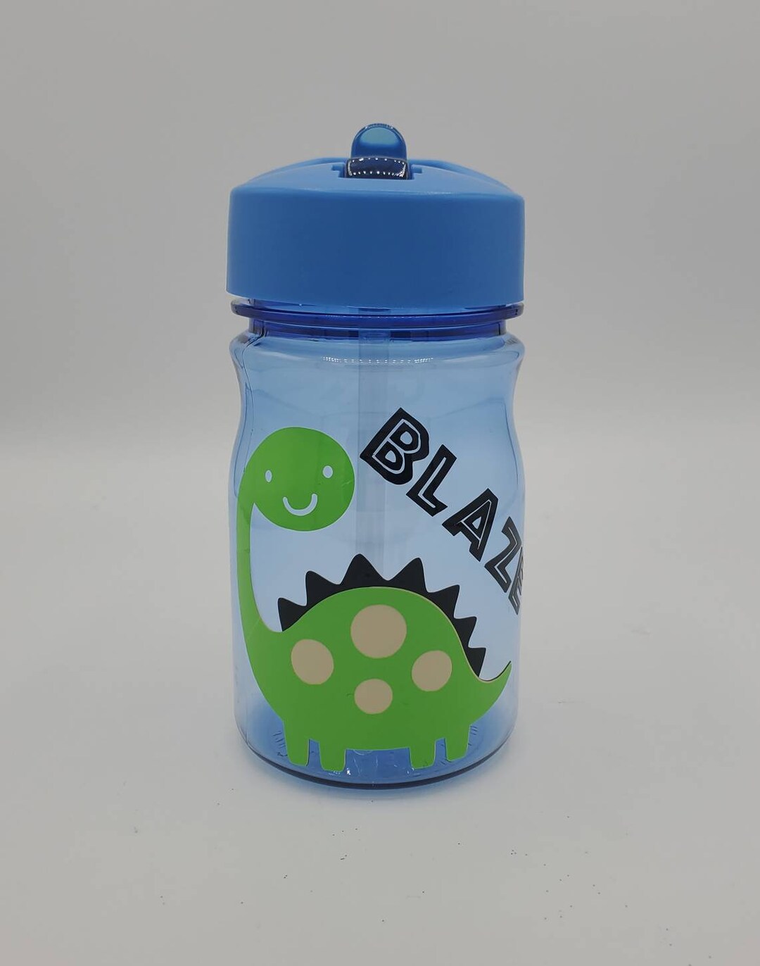 Dinosaur Water Bottle, Personalized Dinosaur Water Bottle, Dinosaur