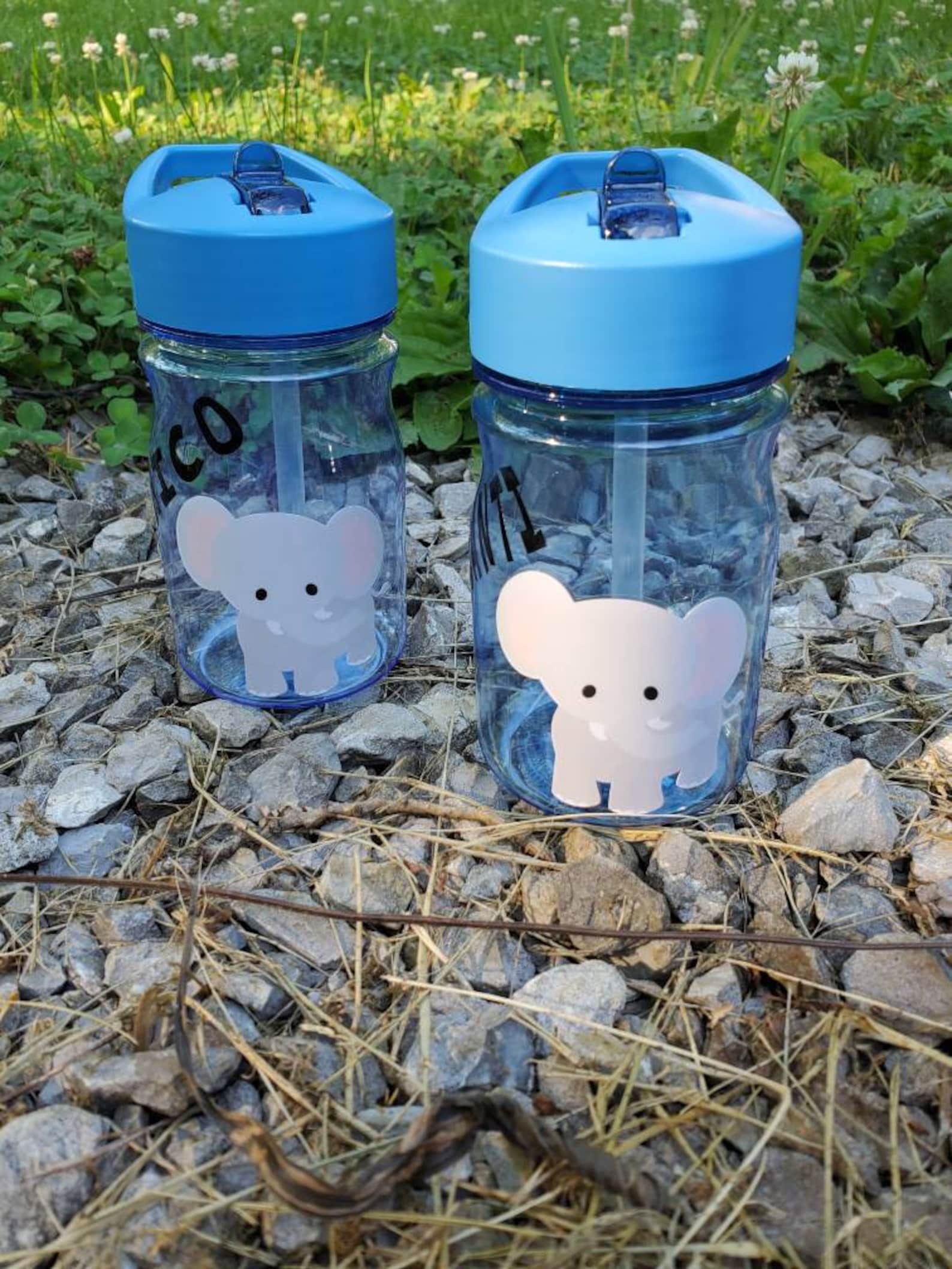 Elephant Water Bottle Personalized Elephant Water Bottle Etsy