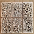 Catholic Charms / Saint Medal Wholesale - Rosary Making, DIY Jewelry, Bracelet Making Beads, Religious Medals Lot Bulk Sale product logo