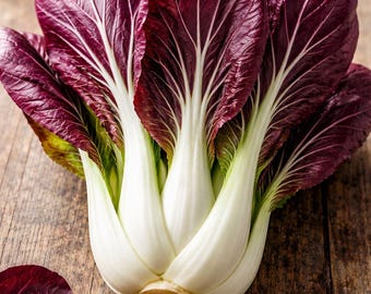 Pak Choi Purple 1g approx. 500 seeds