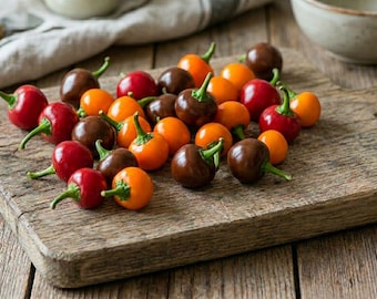 Rare find: Cherry Chili Set in 3 colors (Red/Orange/Brown) 30 seeds