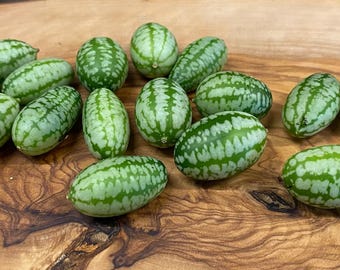 Mexican Mini Cucumber Melothria scabra Quantity Selection