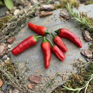 Könnte beinhalten: Fünf leuchtend rote Chilischoten mit grünen Stielen, die in einem sternförmigen Muster auf einer flachen, grauen Steinoberfläche angeordnet sind. Die Schoten haben eine glatte, glänzende Haut und eine spitz zulaufende Form.