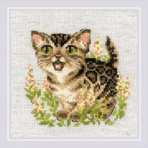May include: A cross-stitch pattern of a brown tabby kitten with green eyes, sitting in a field of pink and white flowers.