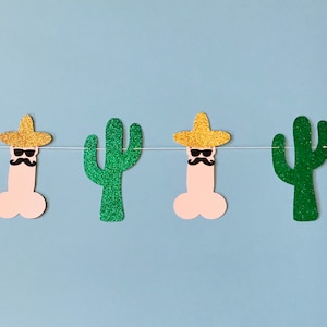 Bachelorette Party Garland, Final Fiesta Banner, Last Fiesta Banner, Bachelorette Party Decorations