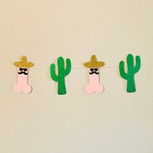 Bachelorette Party Garland, Final Fiesta Banner, Last Fiesta Banner, Bachelorette Party Decorations