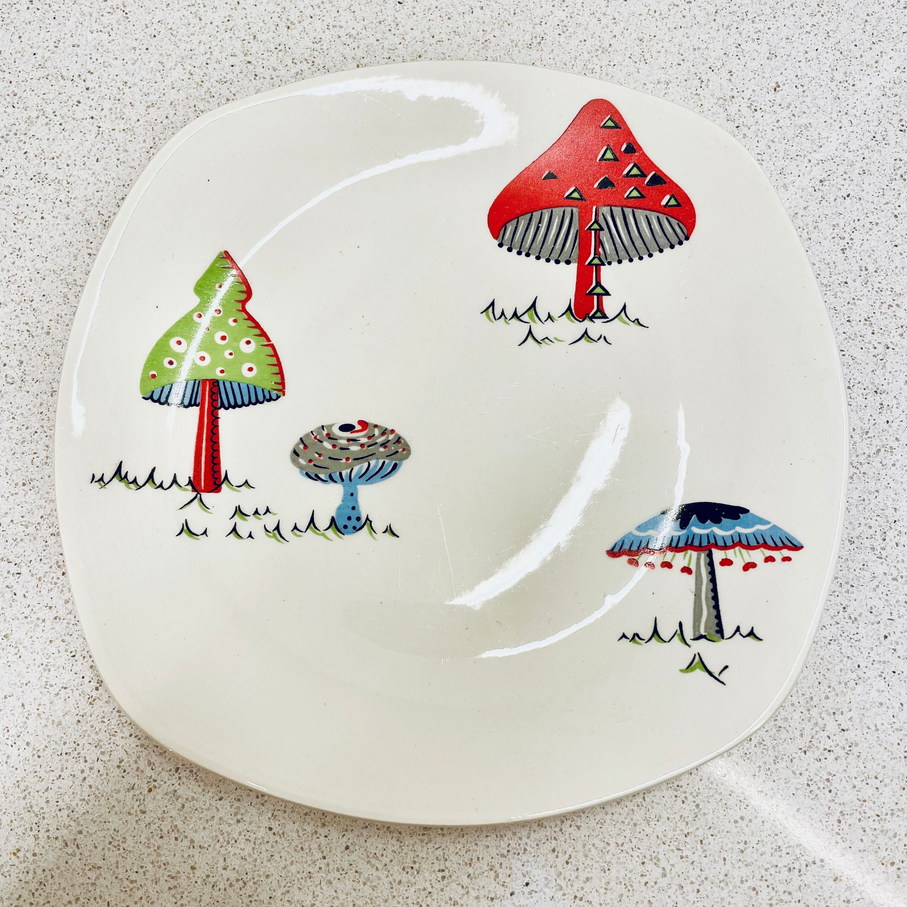 Midwinter ミッドウィンター　Toadstools 毒キノコ　プレート Midwinter ミッドウィンター Toadstools 毒キノコ プレート