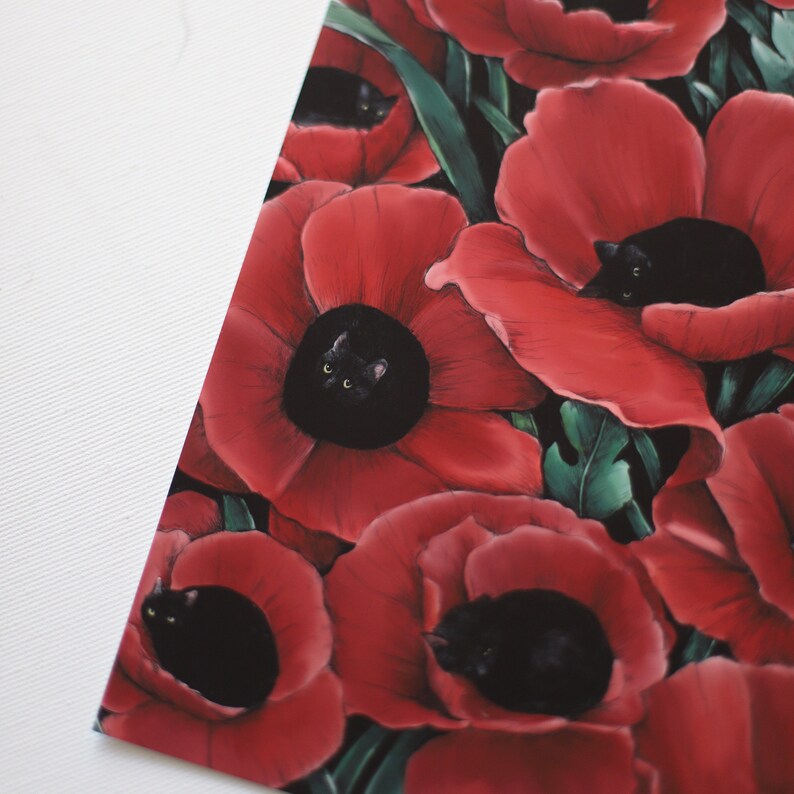 Poppy black cats DIGITAL, Black cats in red flowers, poppy meadow illustration giclee print image 2