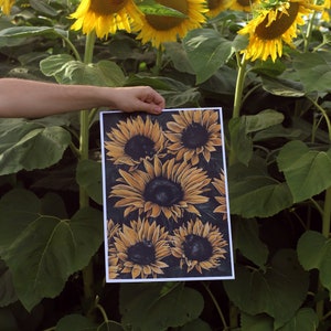 Black cats in sunflowers  | Cat illustration | botanical illustration | Cat flower | botanical sunflower Print  | Giclee Cat  | Cat print