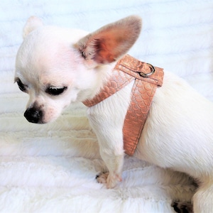 Leather Dog Harness, Choke Free Dog Harness, Dog Harness for Small Dogs, Chihuahua Harness, Yorkie Harness, Maltese Harness, Poodle Harness