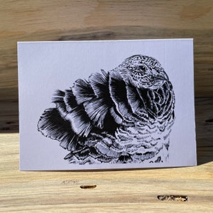 Ruffed Grouse Greeting Card