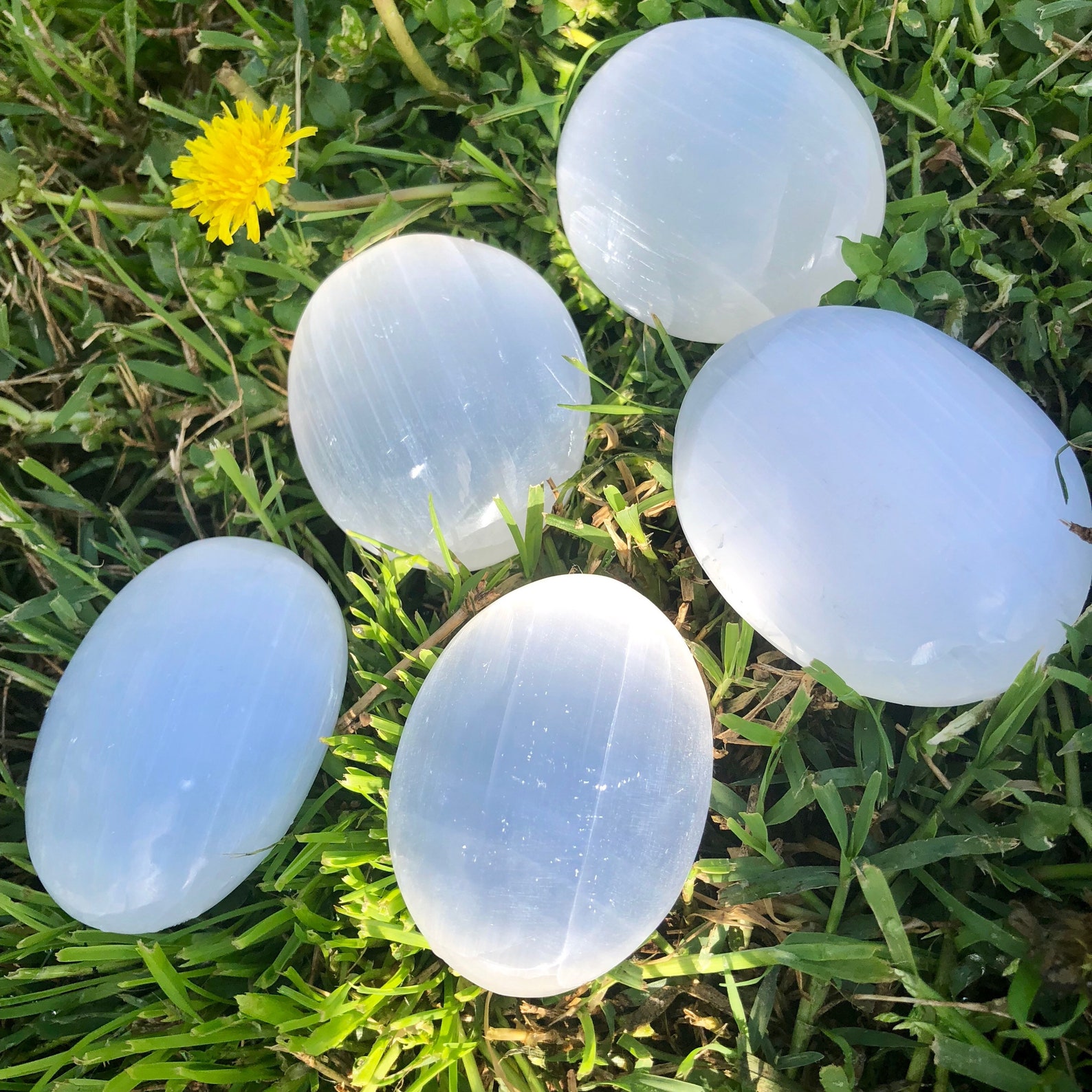 Polished Selenite Palm Stone Cat's Eye Selenite Etsy