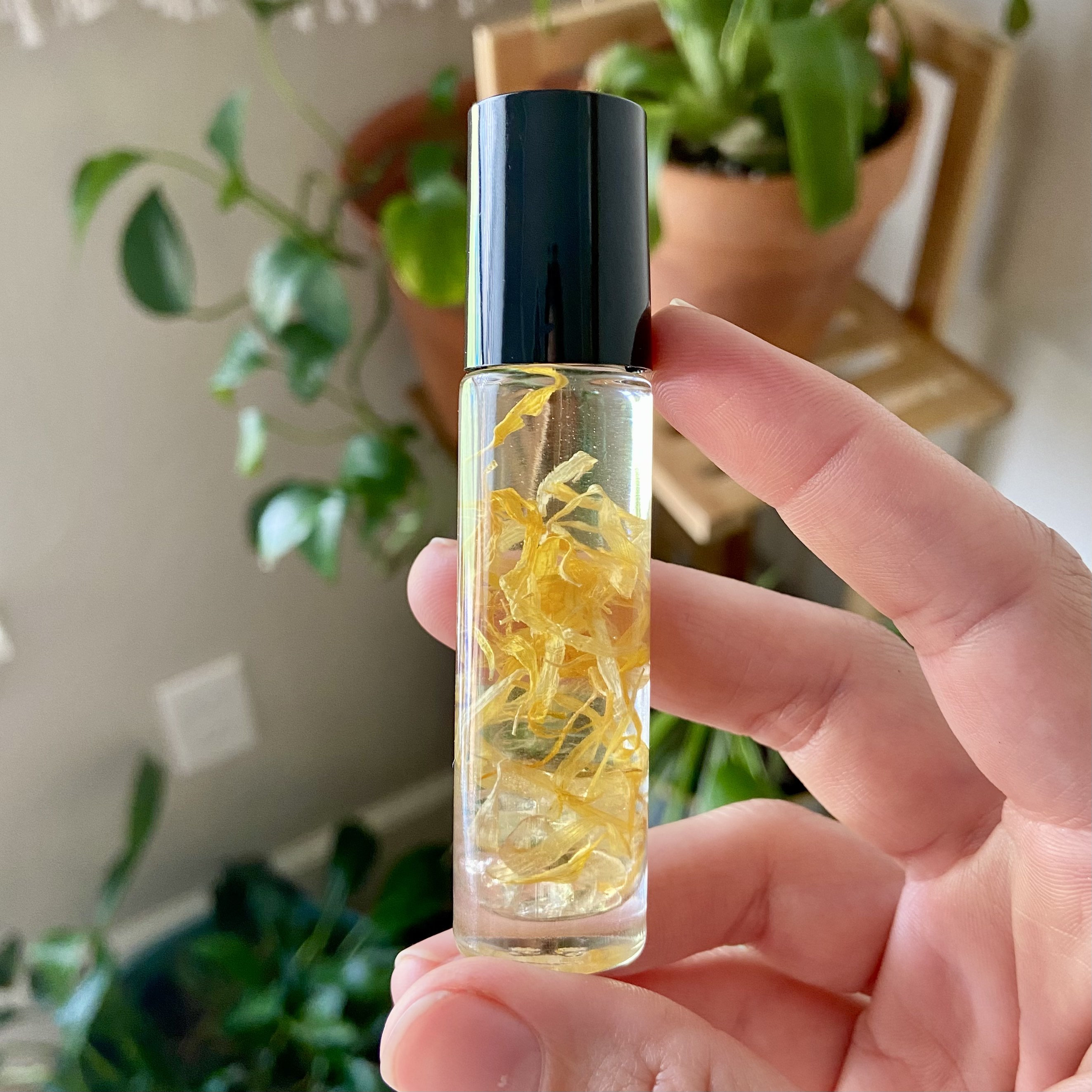Serenity - Gift Set of 6 All Natural Fragrance Oils - Ultra Green, Serene  Oasis, Green Citrus Wood, Sea Salt, Appalachian Wind and Fresh Citrus Aloe