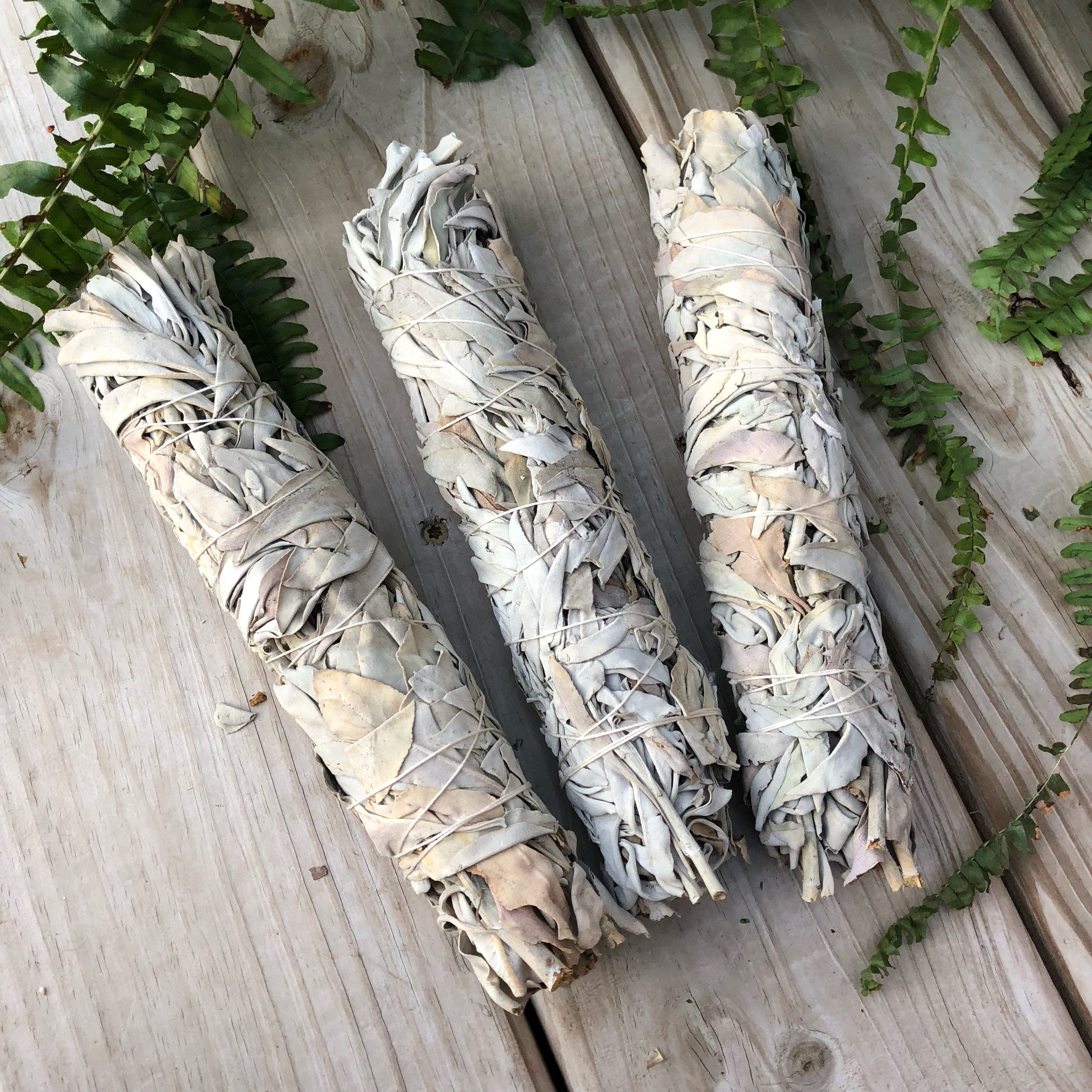Extra Large California White Sage Bundle White Sage XL Etsy