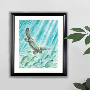 Platypus Watercolor Art Print- 8x10  |  Animal, Painting