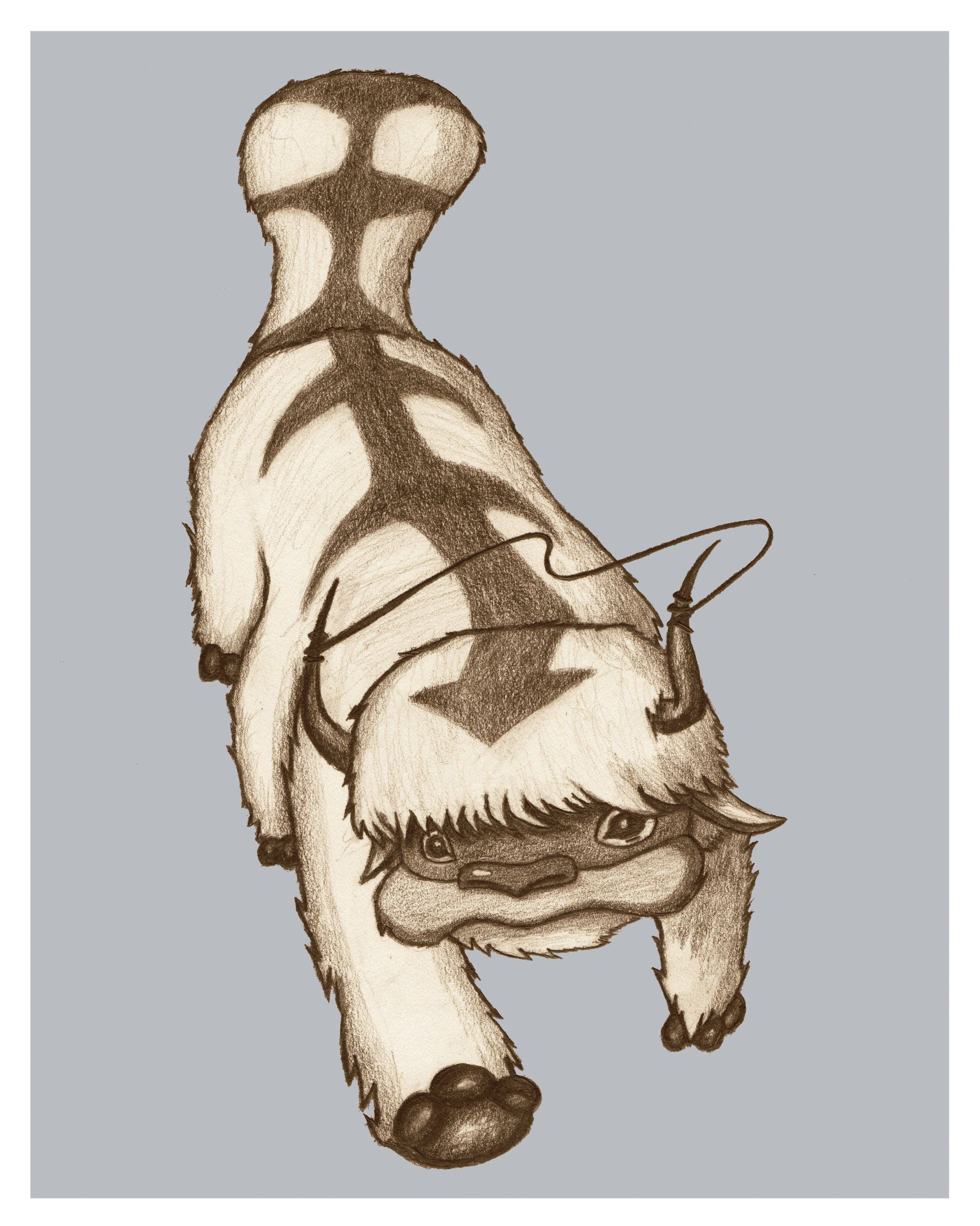 Appa Avatar The Last Airbender Pencil Drawing 8x10 Art Print Etsy