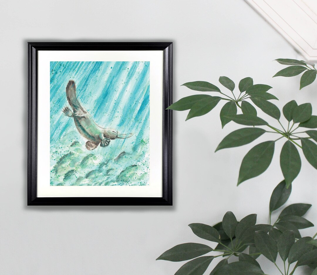 Platypus Watercolor Art Print- 8x10 | Animal, Painting - Etsy