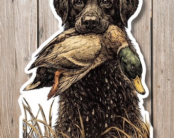 Pegatina del ánade real de Vader