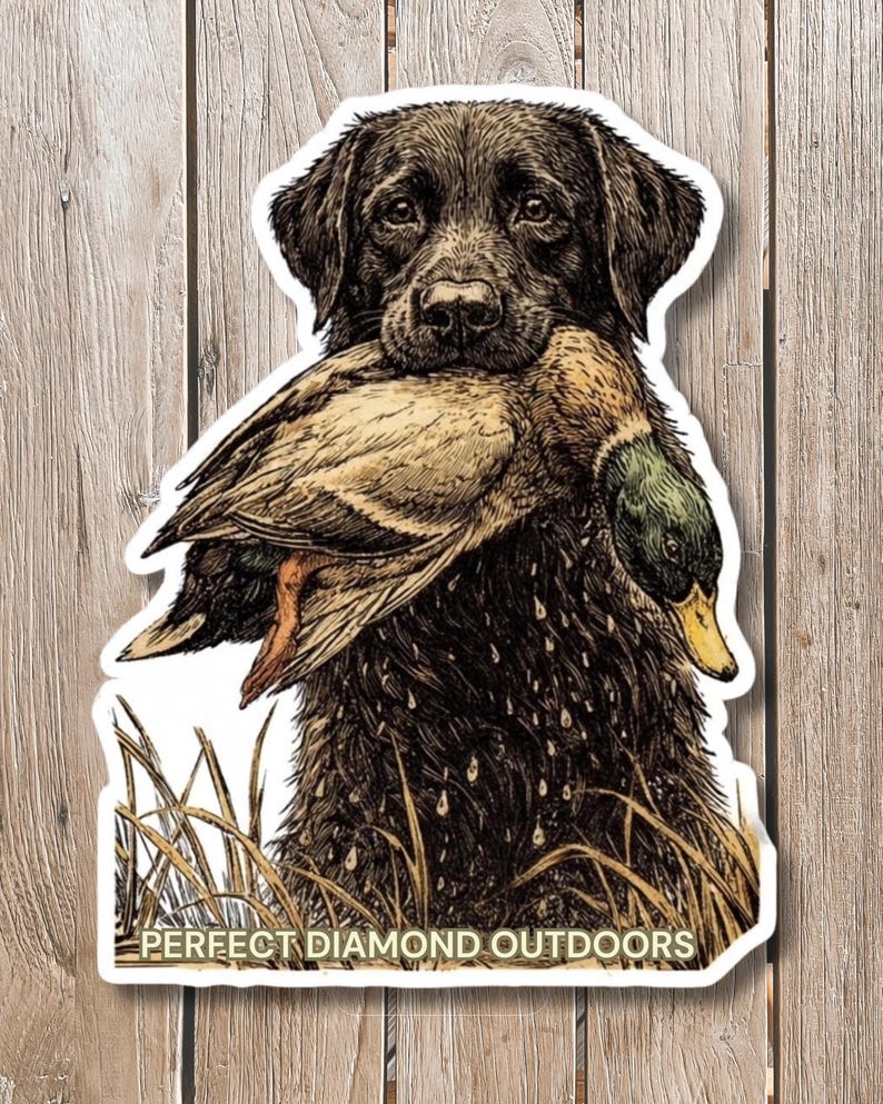 Vader's Mallard Sticker - Etsy