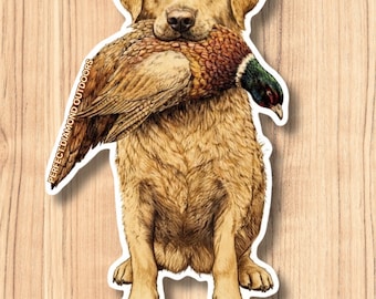 Pegatina del faisán de Murph