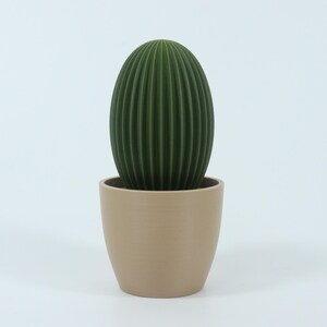 May include: A green, ribbed cactus-shaped decorative item in a beige pot. The cactus has a vertical, oval shape with detailed ridges. The pot is a simple, cylindrical design. The background is plain white.