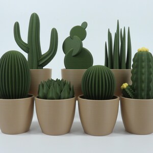 May include: A collection of green cactus sculptures in various shapes, including oval, round, and columnar, each potted in a beige container. The cacti have detailed textures and are arranged against a white background.